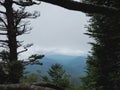 Great Smoky Mountains foggy forest after rainfall. Royalty Free Stock Photo