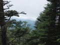 Great Smoky Mountains foggy forest after rainfall. Royalty Free Stock Photo