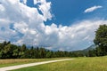 Forest in Summer - Trentino Alto Adige Italy Royalty Free Stock Photo