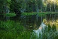 Forest green lake in the forest. Royalty Free Stock Photo
