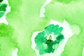 Forest Green Leafy Liquid Color Design. Fresh Bio Royalty Free Stock Photo