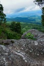 Forest. Green mountain forest landscape. Misty mountain forest. Fantastic forest landscape. Royalty Free Stock Photo