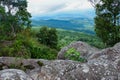 Forest. Green mountain forest landscape. Misty mountain forest. Fantastic forest landscape. Royalty Free Stock Photo