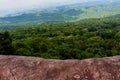 Forest. Green mountain forest landscape. Misty mountain forest. Fantastic forest landscape. Royalty Free Stock Photo