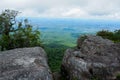 Forest. Green mountain forest landscape. Misty mountain forest. Fantastic forest landscape. Royalty Free Stock Photo