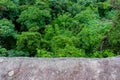 Forest. Green mountain forest landscape. Misty mountain forest. Fantastic forest landscape. Royalty Free Stock Photo