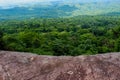 Forest. Green mountain forest landscape. Misty mountain forest. Fantastic forest landscape. Royalty Free Stock Photo