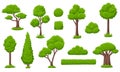Forest green tree collection. Ecology trees, garden group bushes. Variety simple cartoon nature, gardening plants. Eco