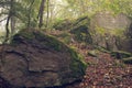 Forest with green trees red leaves and rocks in Thuringian Forest in October near Suhl Royalty Free Stock Photo