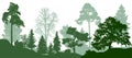 Forest green trees silhouette. Nature, park. Vector background