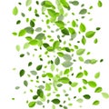 Forest Greens Abstract Vector Illustration.