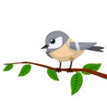 Forest grey bird sit on tree branch. Cute Animal with wing and green leaves. Illustration for greeting card Royalty Free Stock Photo