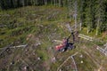 Forest harvester cleans fresh cut tree from branches, fully automatic machine in forest, top down aerial photo Royalty Free Stock Photo