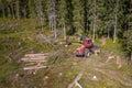 Forest harvester cuts in smaller pieces fresh cut tree, fully automatic machine in forest, top down aerial photo Royalty Free Stock Photo