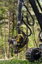Forest harvester felling head Royalty Free Stock Photo