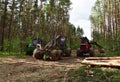 Forest harvester during sawing trees in a forest. Crane forwarder machine during clearing of forested land. Tree cutting machinery Royalty Free Stock Photo