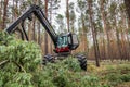 The forest harvester is working in a pine forest