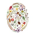 Forest herbs and mushrooms oval shape. Autumn collection. Hand drawn natural rustic fall season set. Fly agaric, fern