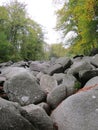 Cluster of rocks in Hessia Royalty Free Stock Photo