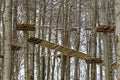 Forest high ropes course, winter season nature