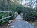 Trail Footbridge Leading Into Dense Growth