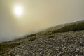 Forest hill with green stones covered with magic yellow fog, Gorgany ridge, Carpathian, Ukraine Royalty Free Stock Photo