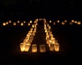 Forest Hill Luminaries