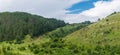 Forest and hill in the summer in Eastern Europe