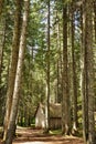 Forest house in the morning fir forest in the mountains Royalty Free Stock Photo