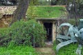 Forest house overrun by nature