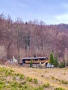 Forest houses with dinosaurs in a snowy forest and frozen road in Poland