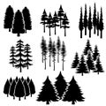 Forest icon vector set. Wood illustration sign collection. Pine tree symbol. Christmas tree logo.