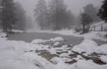 Forest idyllic winter landscape with frozen lake and land covered in snow. Extreme weather Snowstorm. Royalty Free Stock Photo