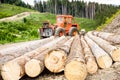 Forest industry. Lumberjack with modern harvester working in a forest. Wheel-mounted loader, timber grab. Felling of Royalty Free Stock Photo