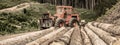 Forest industry. Lumberjack with modern harvester working in a forest. Wheel-mounted loader, timber grab. Felling of Royalty Free Stock Photo