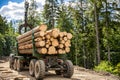 Forest industry. Truck loading wood in the forest. Loading logs onto a logging truck. Portable crane on a logging truck