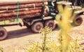 Forest industry. Truck loading wood in the forest. Loading logs onto a logging truck. Portable crane on a logging truck Royalty Free Stock Photo