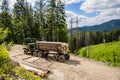 Forest industry. Wheel-mounted loader, timber grab. Felling of trees,cut trees , forest cutting area, forest protection Royalty Free Stock Photo