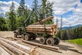 Forest industry. Wheel-mounted loader, timber grab. Felling of trees,cut trees , forest cutting area, forest protection Royalty Free Stock Photo