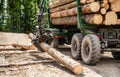 Forest industry. Wheel-mounted loader, timber grab. Felling of trees,cut trees , forest cutting area, forest protection Royalty Free Stock Photo