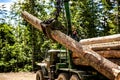 Forest industry. Wheel-mounted loader, timber grab. Felling of trees,cut trees , forest cutting area, forest protection Royalty Free Stock Photo