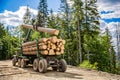 Forest industry. Wheel-mounted loader, timber grab. Felling of trees,cut trees , forest cutting area, forest protection Royalty Free Stock Photo