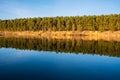 The forest and its mirror image in a river