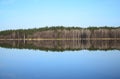 Forest and its reflection in river in spring day