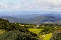 Mountains with Forest in Sierra de Alvarez, nature in san luis potosi IX