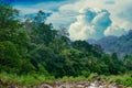 Forest khiriwong Landscape of small river and beautiful sunset Keeree Wong Ban Khiri Wong village Nakhon Si Thammarat Thailand