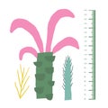 Forest kid height measurement, centimeter, chart