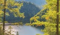 Forest Lake. Autumn landscape, sunny day. Taiga, Siberia Royalty Free Stock Photo