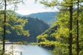 Forest Lake. Autumn, sunny day. Taiga, a wild place in Siberia Royalty Free Stock Photo