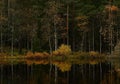 A forest lake in autumn in Sweden